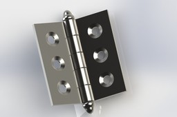 Inox Hinge