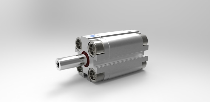Pneumatic cylinder