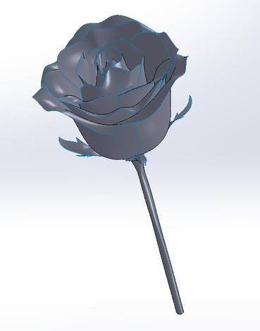 rose