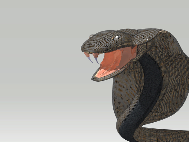 Cobra