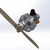 Rotary engine Serikov RES 024