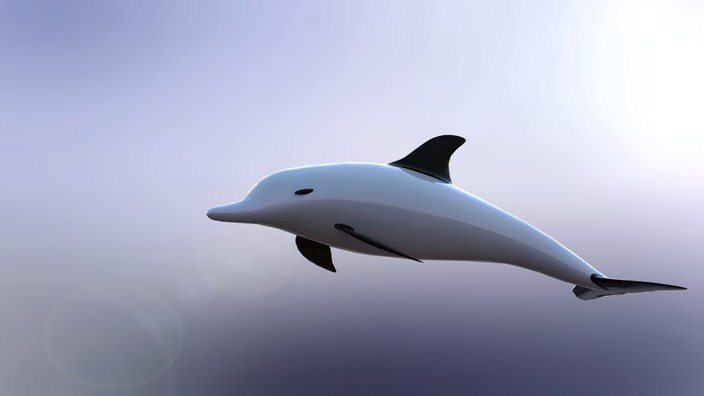 Dolphin