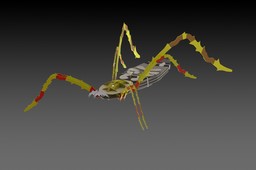 Banana spider, 3d model, puzzle, sheetmetal