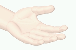 human left hand