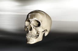 Skull 1