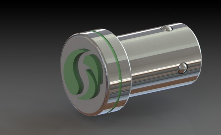 Plug and ring