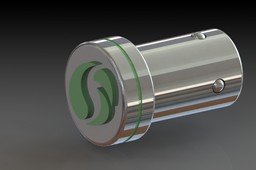 Plug and ring