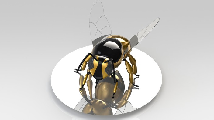 Wasp
