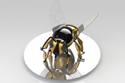 Wasp