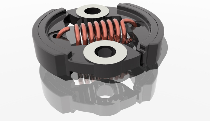 Brake Shoes & Spring